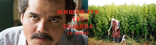 твердый Осинники