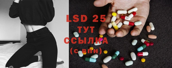 твердый Осинники