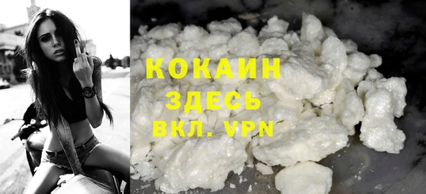 твердый Осинники