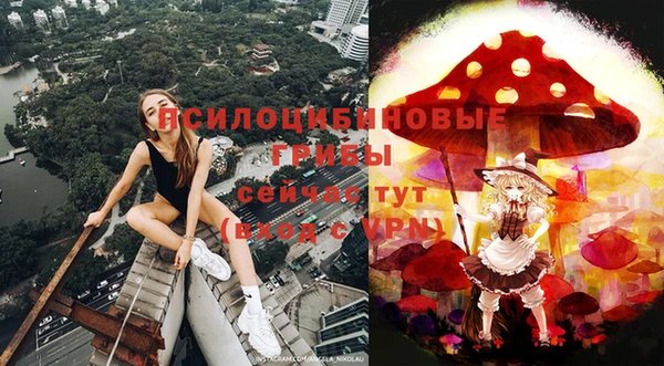 твердый Осинники