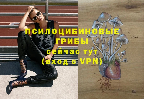 дживик Остров