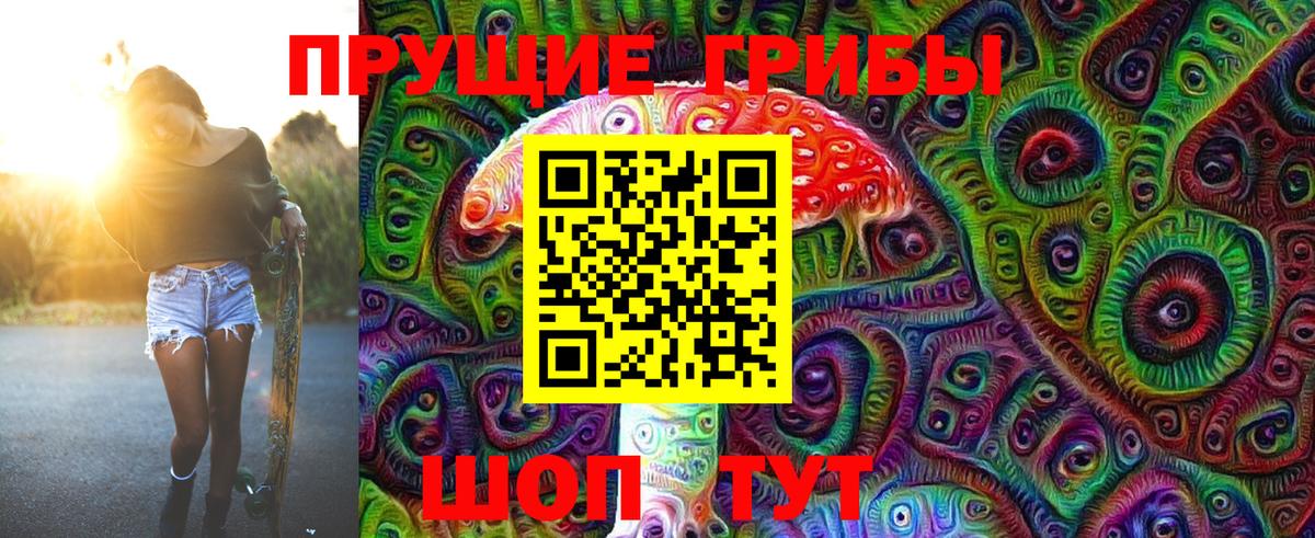 Псилоцибиновые грибы Cubensis  Вход с VPN  Галлюциногенные грибы Psilocybine cubensis  Биробиджан 